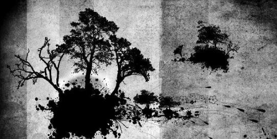 Release image