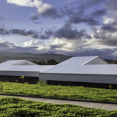 Pmmtpuyo 031588424607