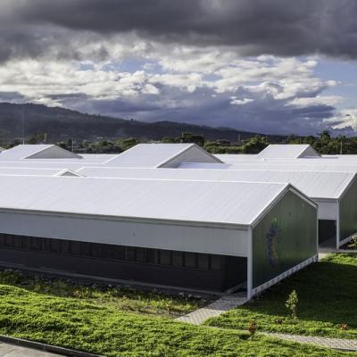 Pmmtpuyo 141588424606